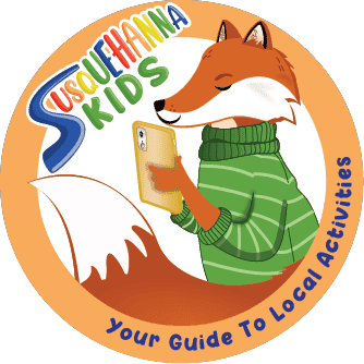 fox logo2