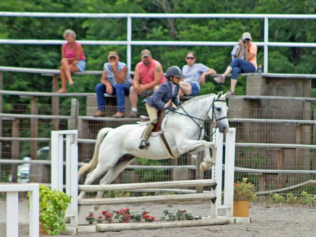 Frosty Oak Stables- Advanced Horse Camp (6/17-21)