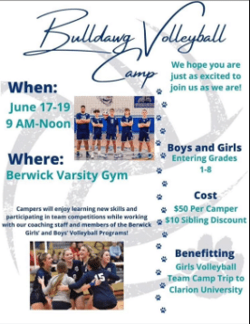 Bulldawg Volleyball Camp