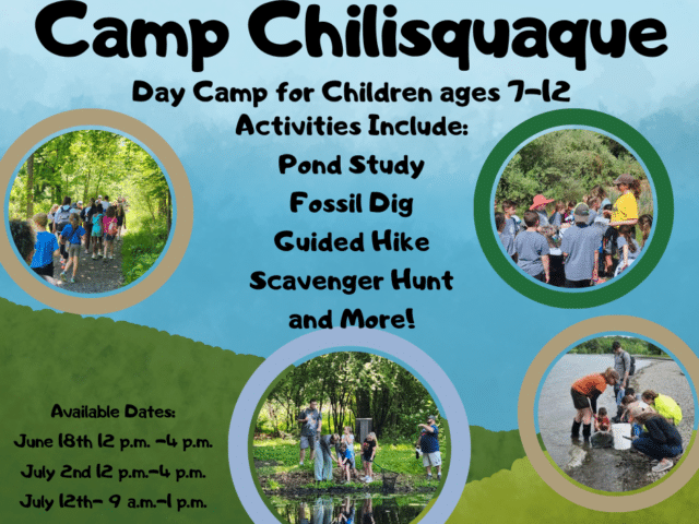 Camp Chilisuqaque- Vernal School @ Montour Preserve